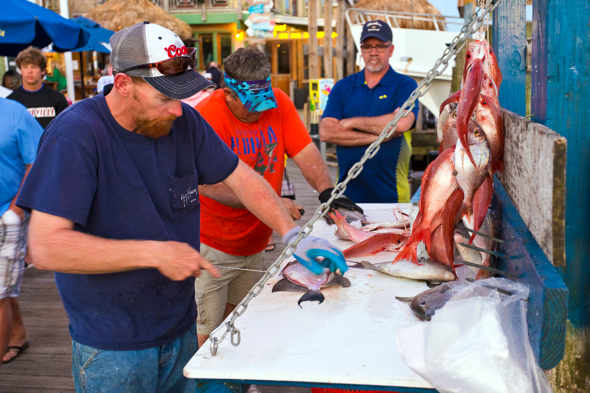 destin-olin-marler-party-boat-fishing-charter-10